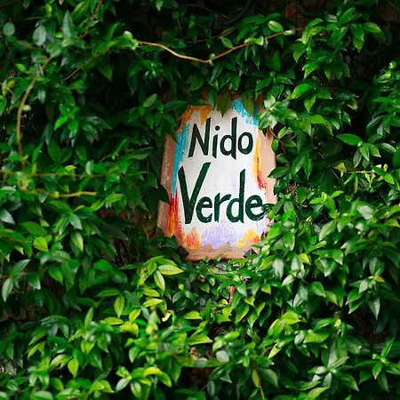 Nido Agerola