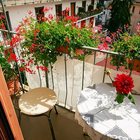 Nido Hotell 3*