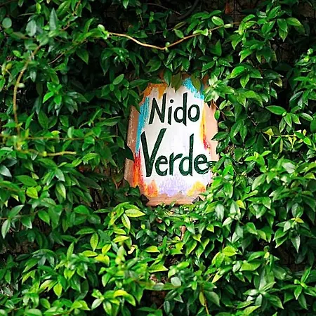 Nido
