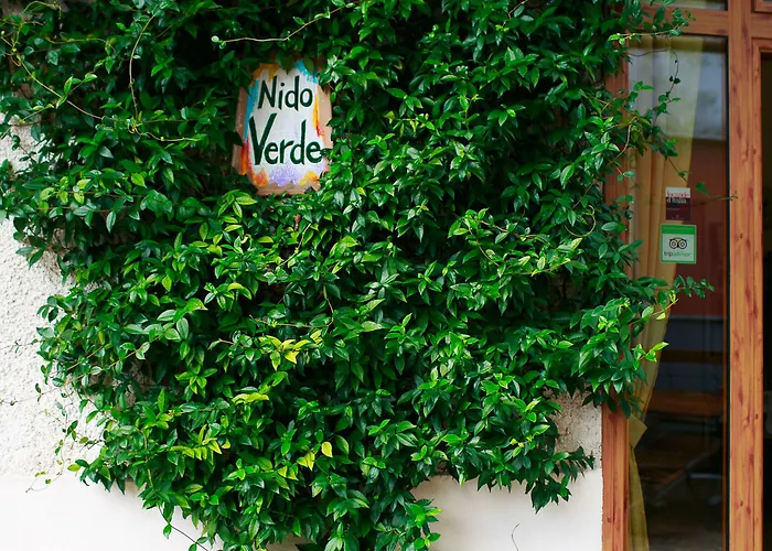 Hotel Nido